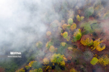 La saison aux mille couleurs de l'automne