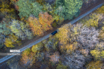 La saison aux mille couleurs de l'automne