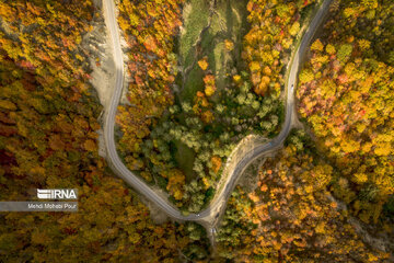 La saison aux mille couleurs de l'automne