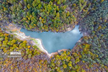 La saison aux mille couleurs de l'automne