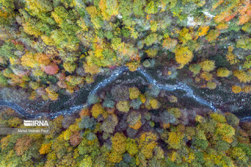 La saison aux mille couleurs de l'automne