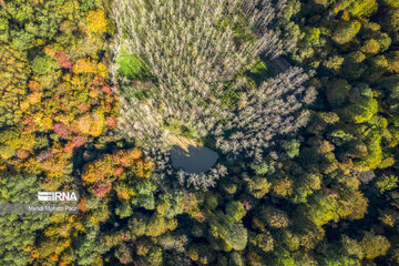 La saison aux mille couleurs de l'automne