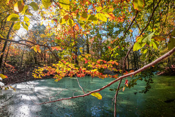 La saison aux mille couleurs de l'automne