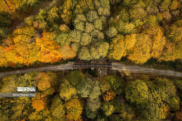 La saison aux mille couleurs de l'automne