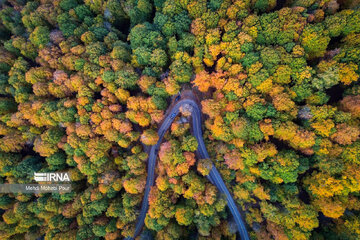 La saison aux mille couleurs de l'automne