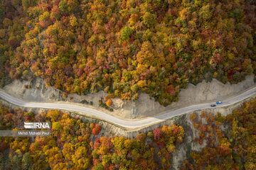 La saison aux mille couleurs de l'automne