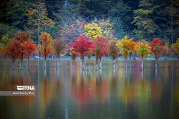 La saison aux mille couleurs de l'automne