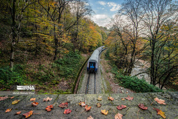 La saison aux mille couleurs de l'automne