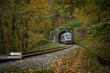 La saison aux mille couleurs de l'automne