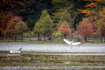 La saison aux mille couleurs de l'automne