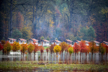 La saison aux mille couleurs de l'automne