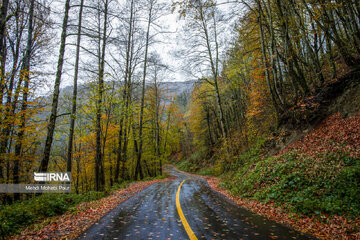 La saison aux mille couleurs de l'automne