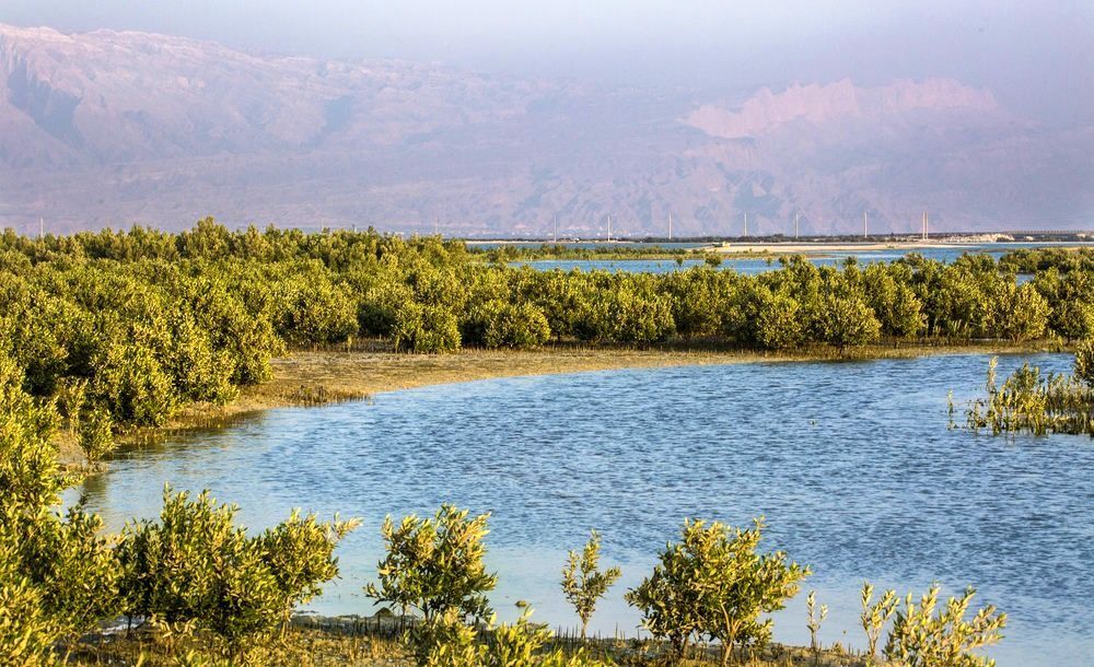 سومین جلسه شورای عالی محیط زیست فردا با حضور رییس جمهور برگزار می‌شود