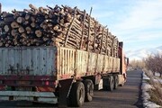 هشت تن چوب‌ جنگلی قاچاق در اردبیل کشف شد