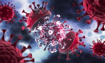 وزیکول‌ها به مقابله با عفونت‌های ویروسی آمدند