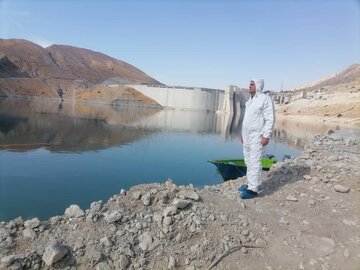 پایش بیماری "آنفلوانزای فوق حاد" در زیست گاه های پرندگان مهاجر گچساران آغاز شد