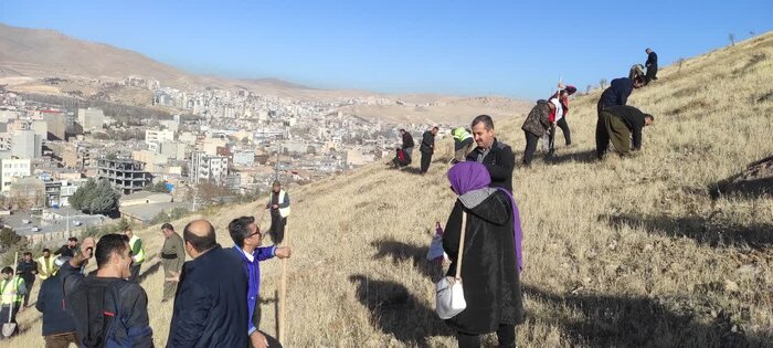 بذر درختان جنگلی در سه هکتار از کوه داشامجید مهاباد کاشته شد