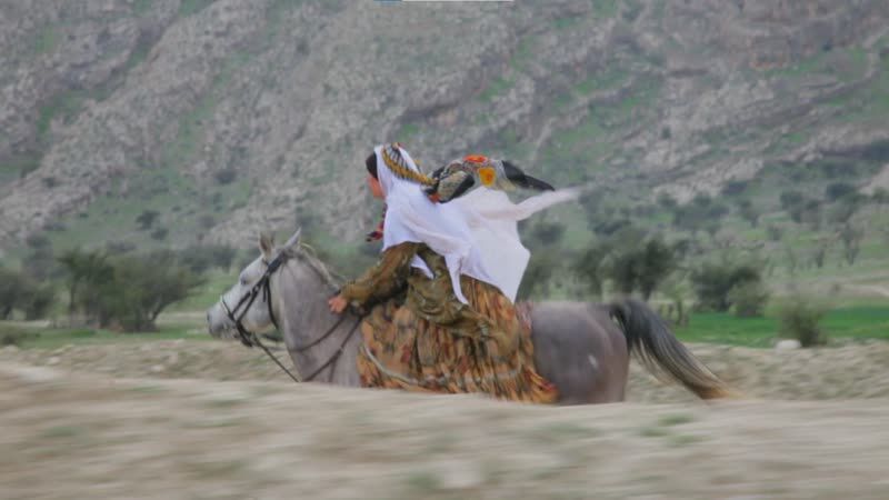 «تفنگداران جنوب» جایزه سینما حقیقت را نشانه گرفتند