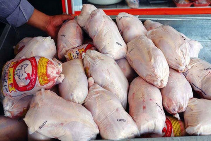 مشکل تولید نداریم؛ خرده فروشان توزیع مرغ باید ساماندهی شوند