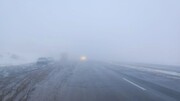 جاده های بروجرد مه آلود است + فیلم