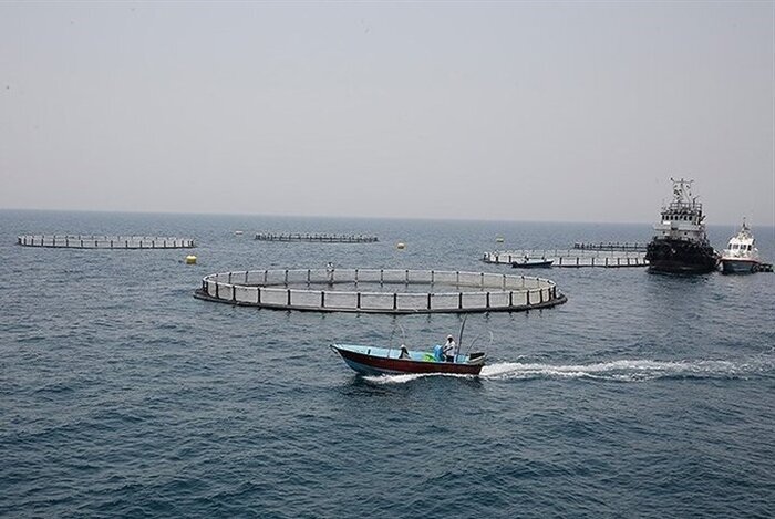 شکوفایی اقتصادی گیلان با تکمیل جورچین توسعه دریامحور