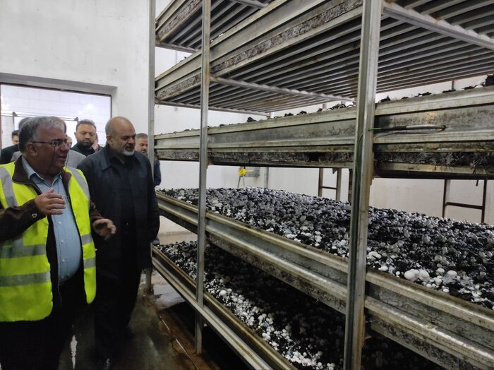 اجرای طرح تولید قارچ مشابه "جلگه دز دزفول" در آبدانان