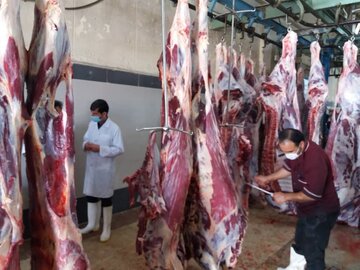 تولید گوشت قرمز در قزوین ۳.۲ درصد رشد داشت