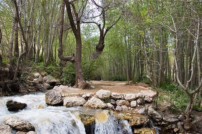 سرآقاسید؛ ماسولهای در دل زاگرس