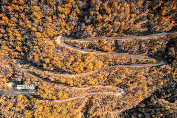 La beauté automnale des forêts hyrcaniennes au nord d’Iran