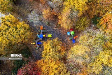 La beauté automnale des forêts hyrcaniennes au nord d’Iran