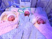 نوزادان سه قلو در زنجان به دنیا آمدند