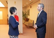 Der stellvertretende Außenminister Irans trifft sich mit der japanischen Außenministerin