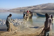 فیلم | چالش‌های صیدماهی از دریاچه سد مهاباد