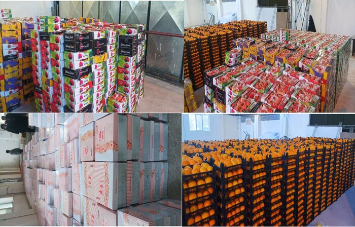 ۸ هزار بسته معیشتی با عنوان یلدای مهدوی در اسلامشهر توزیع شد