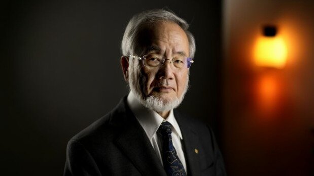 Nobel tıp ödülü kazanan Japon bilim insanı Yoshinori Oshumi