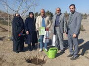 «باغ زندگی» ویژه داوطلبان اهدای خون در مشهد راه‌اندازی شد+فیلم