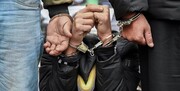 هفت سارق حرفه‌ای در شهرستان خوی دستگیر شدند