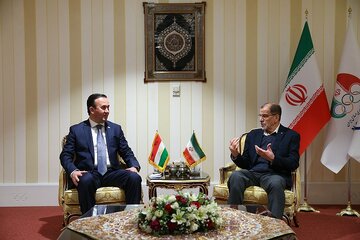 خسروی‌وفا:‌ زمینه‌های بسیاری برای همکاری با تاجیکستان داریم