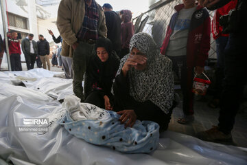 Le bilan des morts palestiniens à Gaza s'élève à 20 258 (ministère)