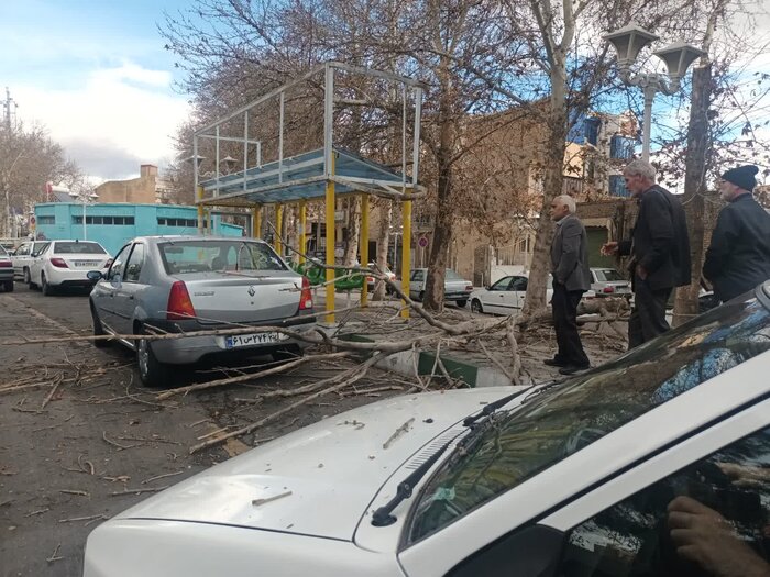 وزش باد شدید در پایتخت/مردم از تردد در فضای باز خودداری کنند