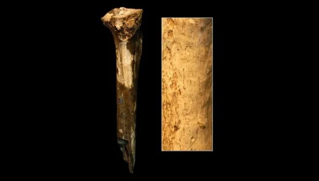 نگاهی به تازههای علمی در سال ۲۰۲۳