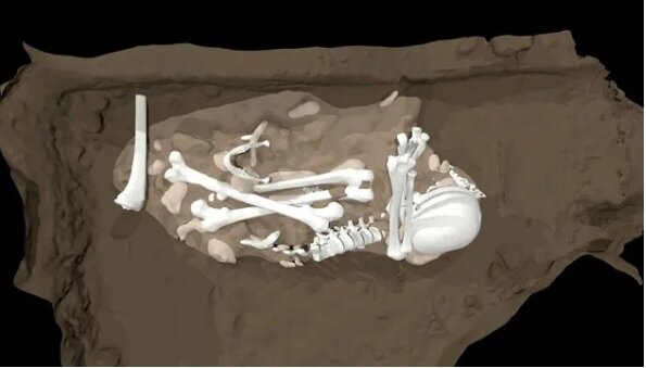 نگاهی به تازههای علمی در سال ۲۰۲۳