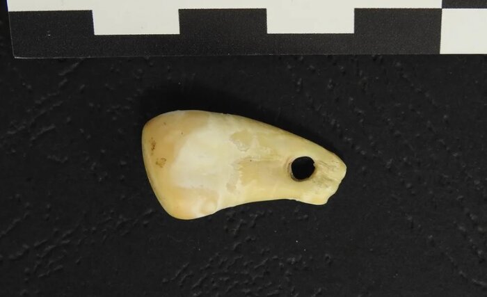 ۶ راز تاریخی که دانشمندان در سال ۲۰۲۳ کشف کردند