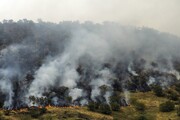 آتش سوزی بخشی  از جنگل های چالوس خاموش شد