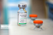 ۲ شبکه قاچاق واکسن در شیراز منهدم شد