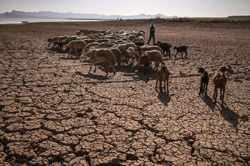 Climat : l’agriculture marocaine en agonie