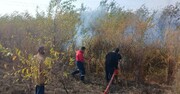 یگان حفاظت منابع طبیعی استان اردبیل به ناوگان جدید تجهیز شد