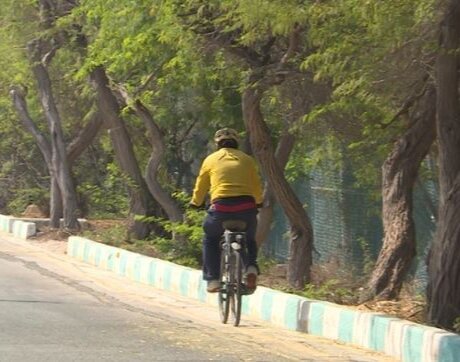 کاشت نهال توسط جهانگرد دوچرخهسوار در شیراز