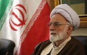 دری نجف‌آبادی: مردم ایران با حضور پای صندوق‌های رای اقتدار ایران را نشان خواهند داد