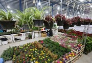 نمایشگاه‌های تخصصی گل و گیاه و سوغات در تبریز گشایش یافت